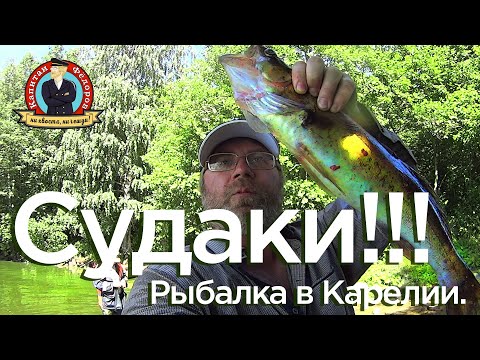 Видео: Ведлозеро. Карелия. Рыбалка на судака. #капитанандрейфёдоров
