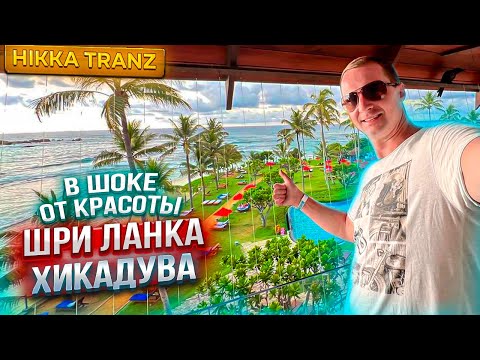 Видео: В шоке от такой красоты! Это Шри-Ланка. Цены в кафе. Хикадува Ужин все включено Hikka Tranz