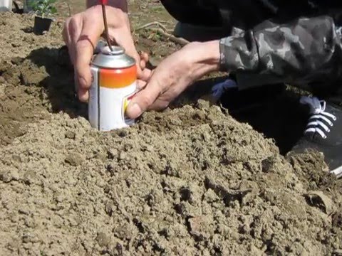 Видео: Сажалки для рассады из моих самоделок