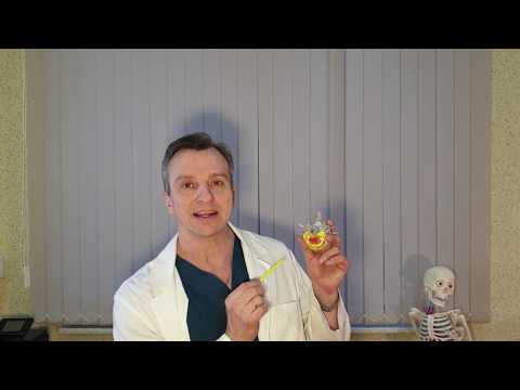 Видео: ОСТЕОХОНДРОЗ ПОЗВОНОЧНИКА, ЧТО ЗА БОЛЕЗНЬ, ПОЧЕМУ И КАК ОНА РАЗВИВАЕТСЯ