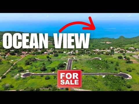 Видео: Продажа земли в Сент-Элизабет, Ямайка | Долина Баллардс