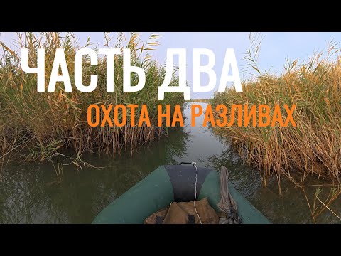 Видео: Охота на утку в камышовых джунглях на разливах Балхаша.Охота в посёлке Байтал.