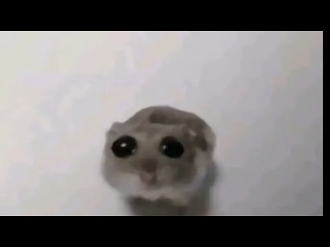 Видео: Моя проблема (speed up) 1 час