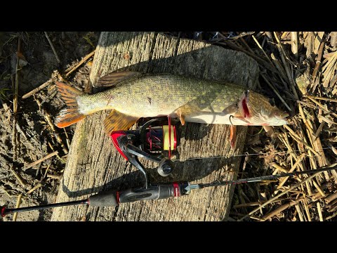 Видео: Рыбалка на спиннинг без лишних слов.  Блесна MEPPS продолжают работать. Щука любит эти блесны.