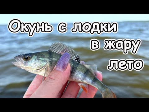 Видео: Ловля окуня в жару с лодки на микроджиг и джиг вечером в ветер