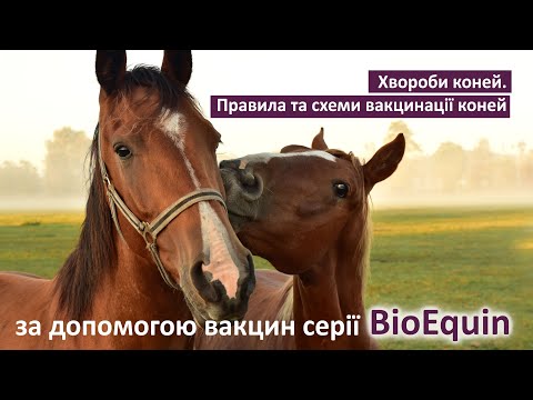 Видео: Захворювання коней.Правильна вакцинація вакцинами Bioequin. (Болезни лошадей . Вакцинация)