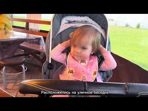 Видео: «Райское» место в Моргаушском районе🦚🪷🥀Страусиная ферма «Браво»🦢🦃🦙🪶