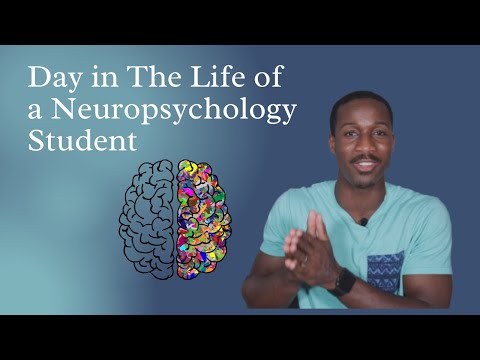 Видео: День из жизни студента-нейропсихолога