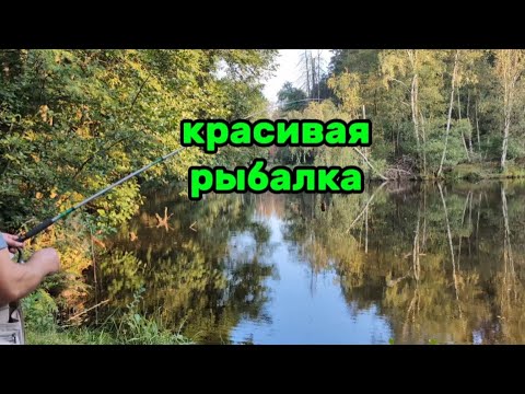 Видео: Германия / Рыбалка /  но где 🐟?