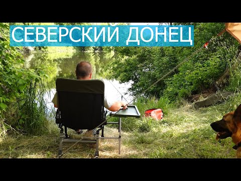 Видео: Ночевка на Северском Донце / Рыбалка, кухня, кемпинг