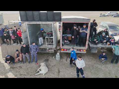 Видео: Қажымұхан ауылы Бағдат бауырымыздың елден бата алу көкпары 22 02 2025