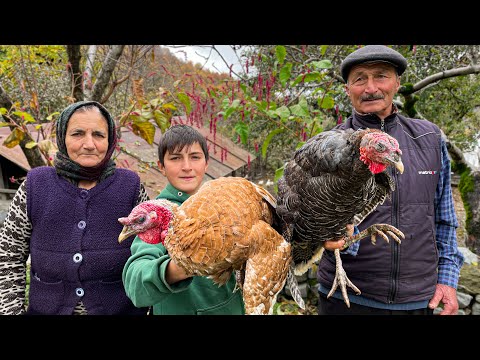 Видео: Приготовили Домашнюю Шаурму в далекой Азербайджанской деревне