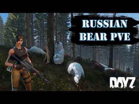 Видео: ОБЗОР ПРОЕКТА RUSSIAN BEAR PVE I CHIEMSEE I #dayz