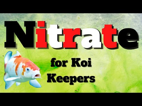 Видео: Нитраты в пруду с кои: что нужно знать каждому владельцу кои о нитратах