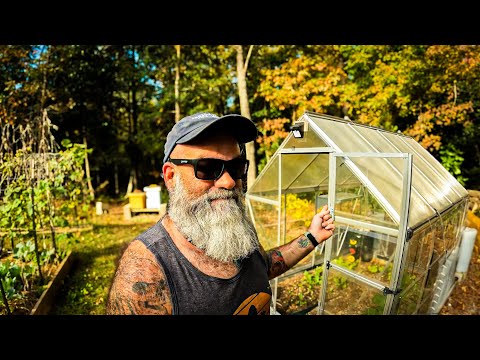 Видео: Хотите теплицу? Вот правда о них.