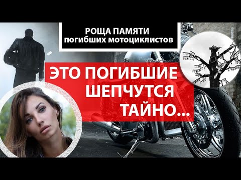 Видео: РОЩА ПАМЯТИ " ВЕЧНЫЙ СЕЗОН"