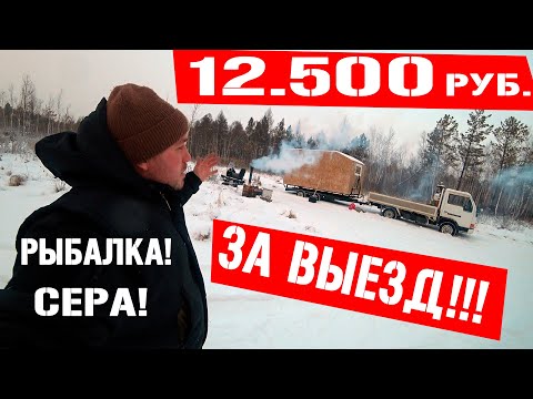 Видео: Поехал на рыбалку,а заработал денег! Сбор смолы лиственницы! Сера