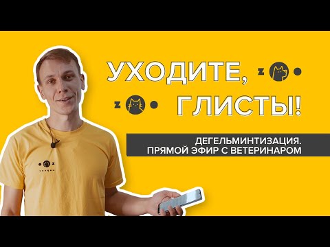 Видео: Дегельминтизация собак и кошек. Когда и как проводить, препараты для дегельминтизации.