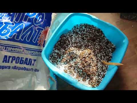 Видео: Грунт для фиалок. Сравниваю старый и новый агробалт