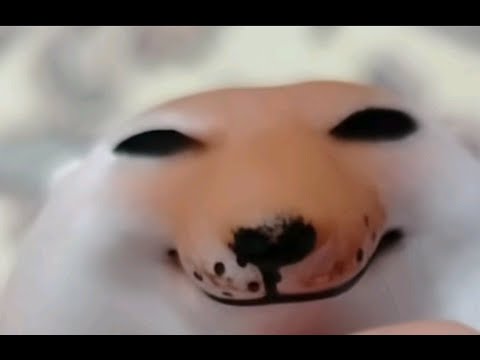 Видео: сколько получилось нафармить с афк лимы за 3 часа +-?