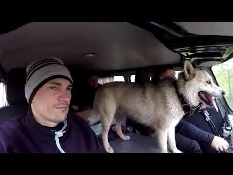 Видео: На рыбалке в Кандалакше