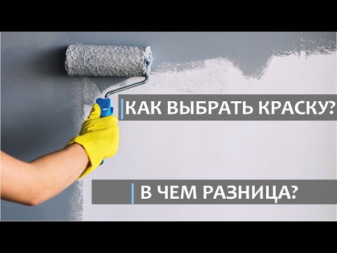 Видео: КРАСКА ДЛЯ СТЕН. В ЧЕМ РАЗЛИЧИЯ? Эксперимент с интерьерной краской.