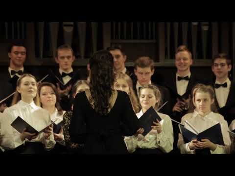 Видео: РНП "Вдоль по Питерской"