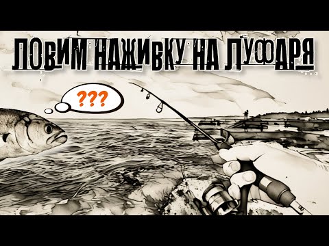 Видео: Ставрида на самодур с берега #fishing #рыбалка самодур на ставриду снасть на ставриду ловля ставриды