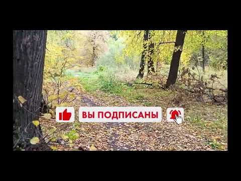 Видео: Шумерля / Цыганский овраг