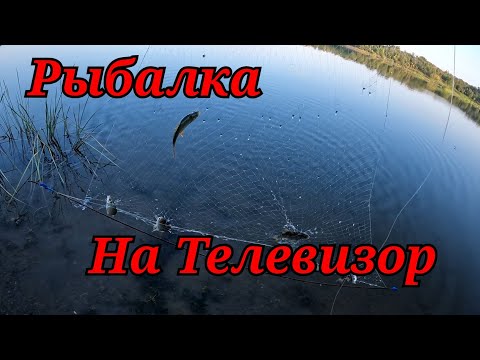 Видео: Рыбалка на поплавок в Августе 2022.Закинул ТЕЛЕВИЗОР В ВОДУ и НА ЛОВИЛ РЫБУ!