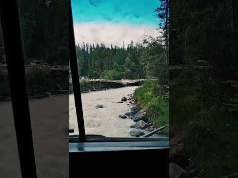 Видео: Алтай. Сплав по Актуру на КамАЗе 