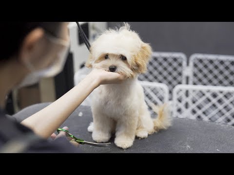 Видео: Я уверен, что она ангел.
