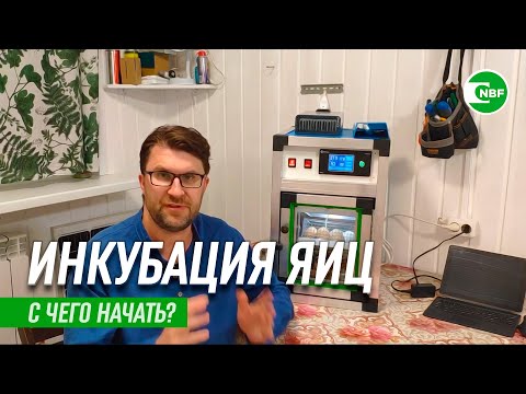 Видео: Как правильно начать инкубацию яиц