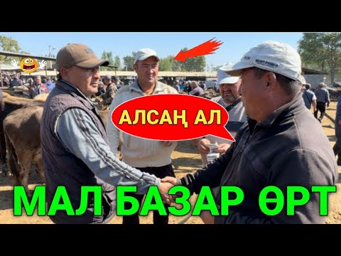 Видео: Ак-Бата мал базары арзан экен коруп билип алынызда.