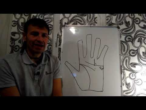 Видео: Линия Солнца