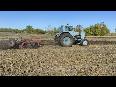 Видео: 25.09.2025 Дискую огороди під посів. Дискова борона ПД 2,5. Belarus МТЗ 80 на спарках. Синій трактор