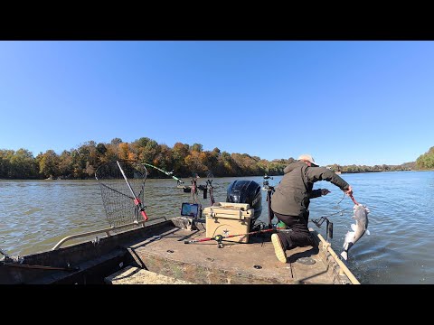 Видео: Это становится моим новым любимым способом их поймать