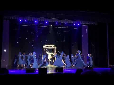 Видео: Образцовая цирковая студия «Мечтатели» г.Борисов. Птица «Феникс»