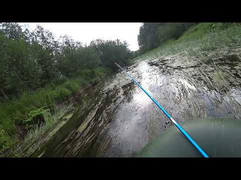 Видео: Неудавшийся сплав по реке Бисерть / Река заросла травой водорослями