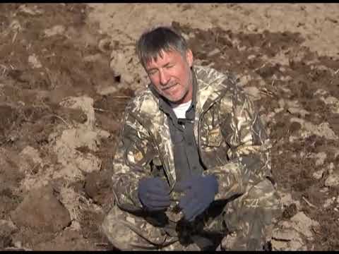 Видео: "Урок Земледелия № 3" агроном Заварухин М.А. zeleniisad.ru
