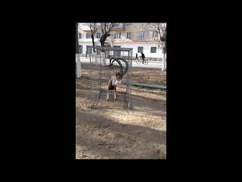 Видео: как изменилась бывшая улица Некрасова в городе Жезказган