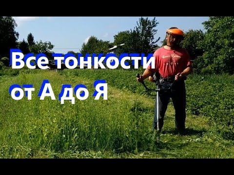 Видео: Как косить мотокосой траву на сено: полная инструкция и показ на практике