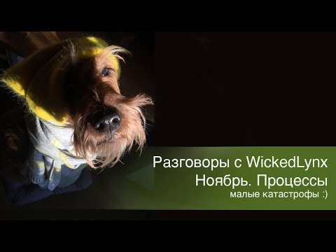 Видео: Разговоры с WickedLynx. Ноябрь. Процессы