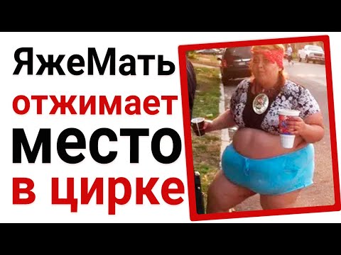 Видео: ЯжеМать отжимает место в цирке. ЯжеМать истории