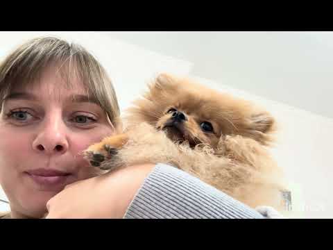 Видео: От забот о собаке до ужина с шашлыками и домашней пиццей.  ИЗ ГОРОДА В ДЕРЕВНЮ ПЕРЕЗАГРУЗКА