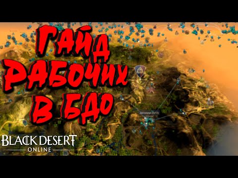 Видео: Black Desert - ГАЙД РАБОЧИЕ БДО АФК ЗАРАБОТОК