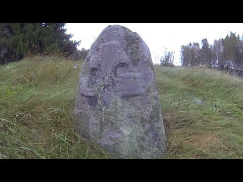 Видео: Окрестности хутора Илалы