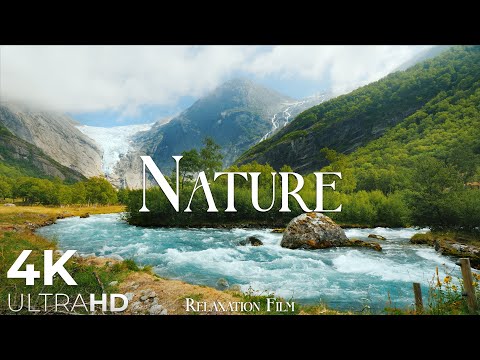 Видео: Фильм Природы для Расслабления 4K - Спокойная Музыка | Nature Relaxation Film