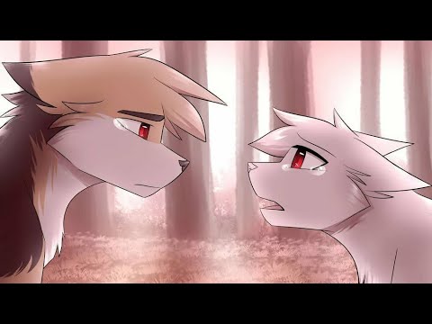 Видео: 🕸️Айла и Энки Белый мотылёк коты воители🌺