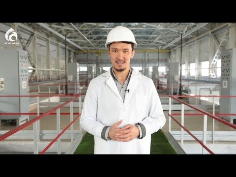 Видео: "Алматы Су" мемлекеттік коммуналдық мекемесі \ Арнайы репортаж \ Асыл арна